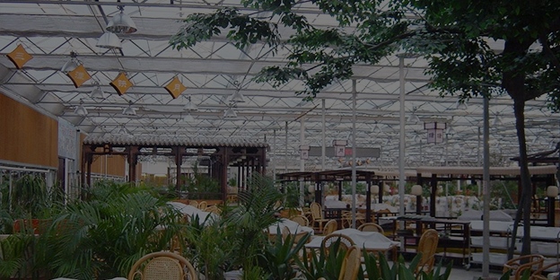 生态餐厅
